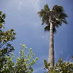 Tatil Evi La Serra - De Bonis