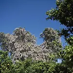 Tatil Evi La Serra - De Bonis