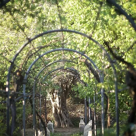 La Serra - De Bonis San Cesario di Lecce