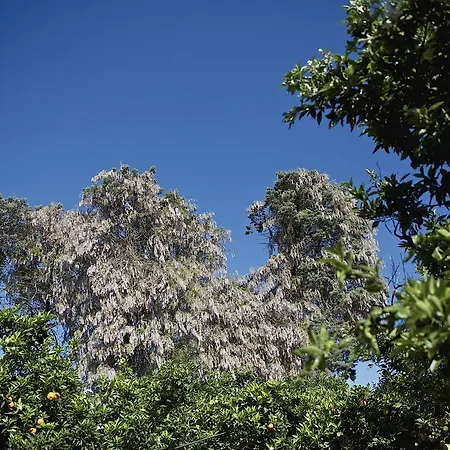 Сasa de vacaciones La Serra - De Bonis