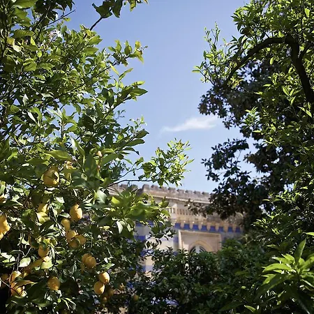 La Serra - De Bonis San Cesario di Lecce