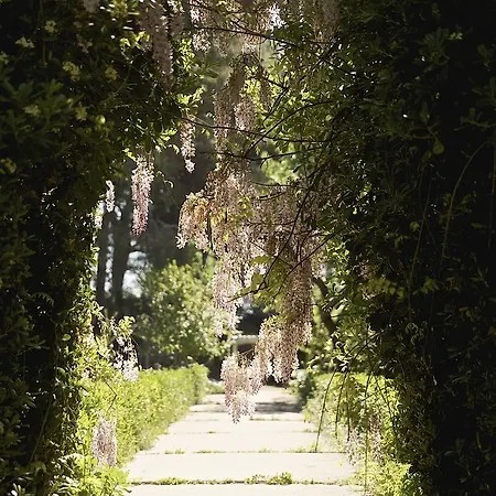 La Serra - De Bonis San Cesario di Lecce