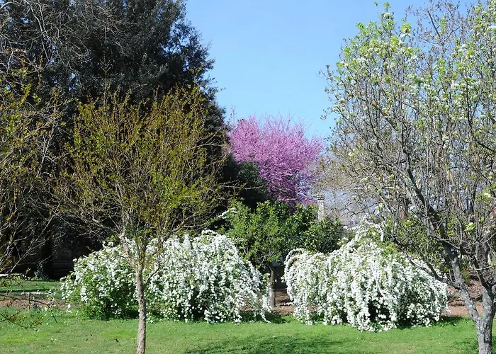 La Serra - De Bonis Semesterbostad