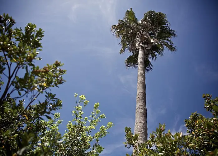 Semesterbostad La Serra - De Bonis