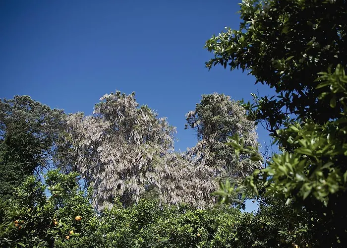 Semesterbostad La Serra - De Bonis