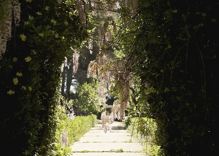 La Serra - De Bonis San Cesario di Lecce