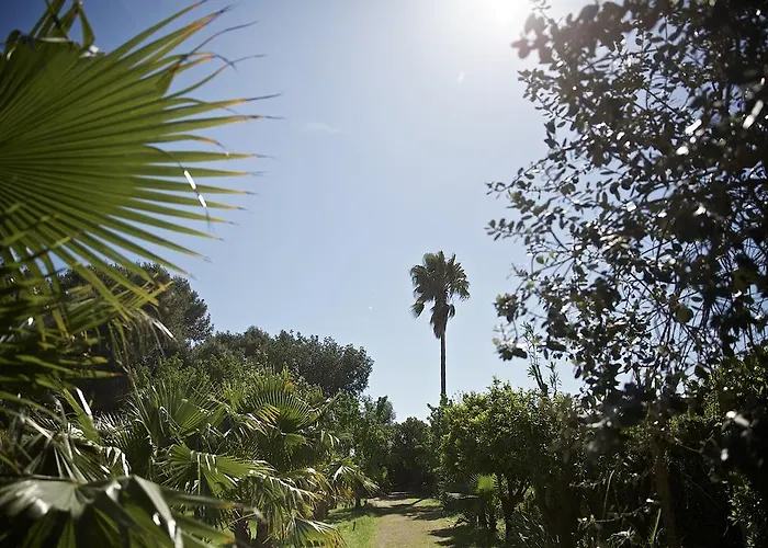 La Serra - De Bonis